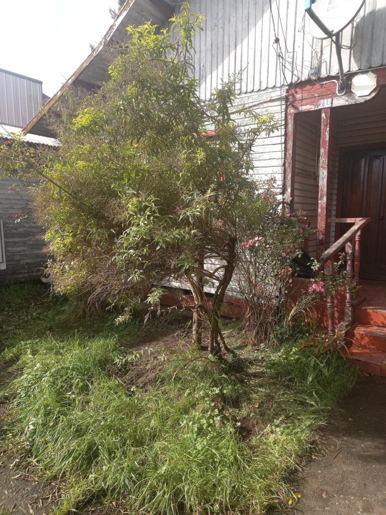 Ahora si el Cedron esta bien posicionado